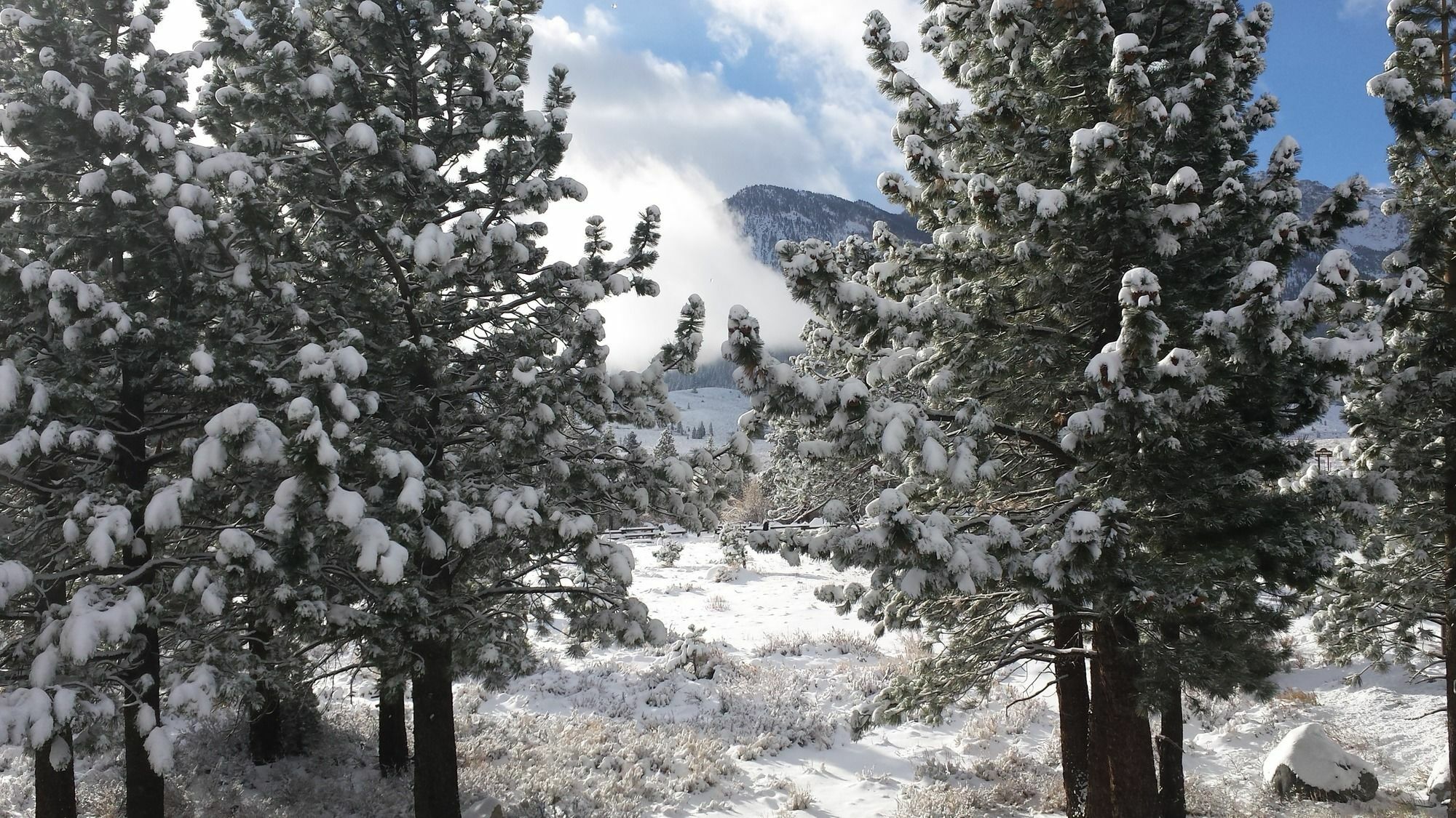 The Mammoth Creek Inn Mammoth Lakes Buitenkant foto
